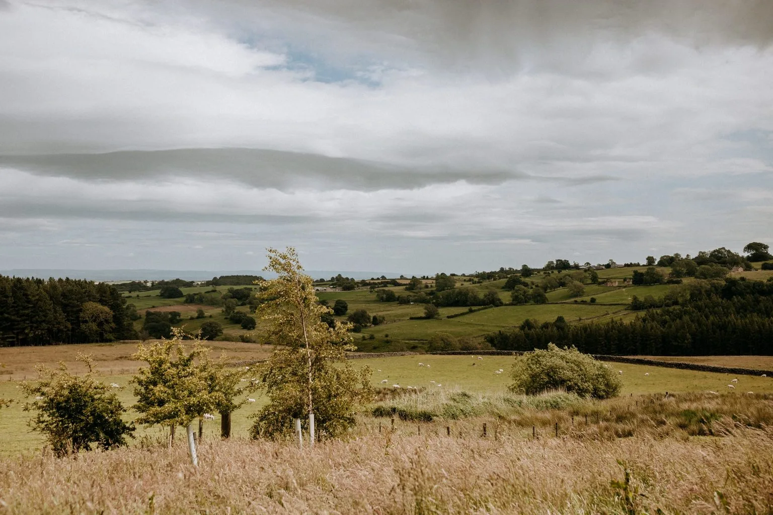 Green Yorkshire hills and trees seen from Swinton Bivouac